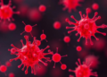 Bacteria-Grown Nanoparticles Turn Red to Reveal Deadly Food Pathogens in Hours
