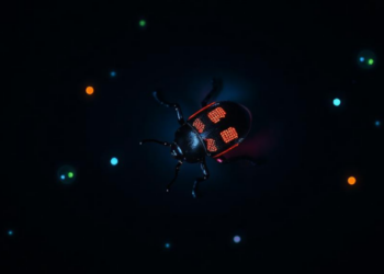 Beetle Secretion Yields Glowing Carbon Dots With Antibacterial and Anticancer Power