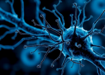 Blocking a Nerve Cell Receptor Could Make Morphine Work Better, Study Finds