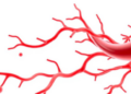 Blood-Like Fluid Model Reveals How Curved Vessels Could Trap Drug Particles