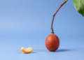 Borneo Fruit Reveals a Team Effort Against Fat-Digesting Enzyme