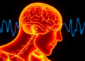 Brain Rhythms Reveal How Skin Temperature Shapes the Feeling of Body Ownership
