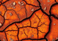 Brazilian Cerrado Fruit Extract Shields Steel from Acid Corrosion with 92% Efficiency