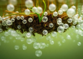 Bubbles From Below: Sedges and Soil Shape Methane Bursts in a Canadian Fen