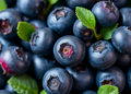 Calcium Balance and Osmotic Potential Hold the Key to Firmer Blueberries