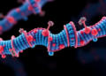 Cancer’s Guardian Protein Still Pulses After Tiny Radiation Doses, Study Finds