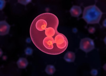 Cells Read Their Neighbors to Pinpoint Their Own Position in the Embryo