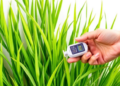 Cheap 3D Sensors Could Transform How Rice Disease Is Measured
