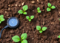 Cheap Soil Sensors Meet Machine Learning to Read Nutrients in Real Time