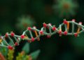 Chemical Tags on Viral RNA Emerge as a Battleground Between Plants and Pathogens