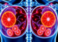 Citrus Flavonoid Meets Nuclear Medicine in Twin Radiometal Design for Breast Cancer