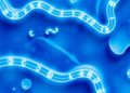 Clay-Boosted Biopolymer Hydrogel Strips Dyes From Wastewater With Reusable Efficiency