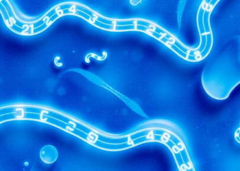 Clay-Boosted Biopolymer Hydrogel Strips Dyes From Wastewater With Reusable Efficiency