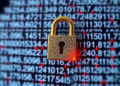Complex-Number Cryptography Boosts Secure Image Encryption, Study Finds