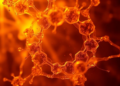 Copper Framework Turned Oxide Supercharges Sunlight-Powered Dye Cleanup