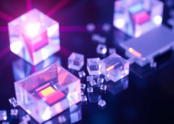 Crystal Polarity Steers Light-Driven Currents in Hybrid Perovskites