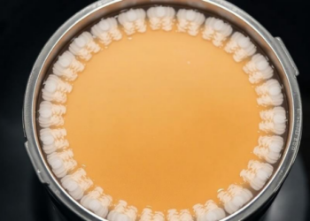 Cyclical Cake Filtration Slashes Filter Area in CHO Cell Harvesting