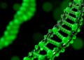 DNA-Inspired Nanocatalyst Turns Green Chemistry Into a Magnetic Marvel