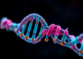 DNA Repair Protein RAD54L Protects Developing Egg and Sperm Precursors from Toxic Enzyme Traps