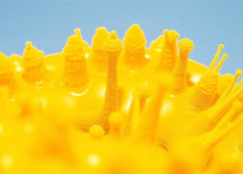 Desert and City Yeasts Reveal Natural Sunscreen Genes for Next-Generation Sun Protection