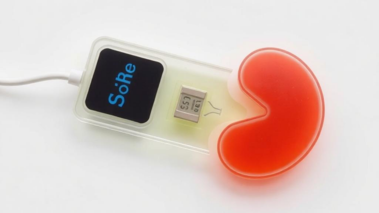 Disposable Plastic-Based Electrode Detects Early Kidney Injury Biomarker in Urine