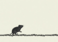 Do Parasites Drive the Boom and Bust of Voles and Lemmings? A New Review Says Probably Not