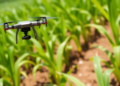 Drone AI Cuts Fertilizer Use by 22 Percent While Boosting Sugarcane Yields