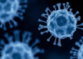 Engineered Protein Breakdown Supercharges Drug-Free Selection of High-Producing CHO Cells