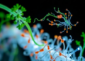 Engineering Life: How Synthetic Biology Is Rewriting Medicine, Farms and Factories