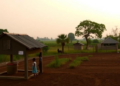 Epigenetic Clocks Pass a Real-World Test in Rural West Africa