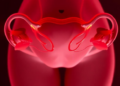 Epigenetic clocks reveal how the aging uterus ticks during pregnancy