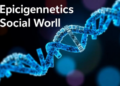 Epigenetics and the Social World: Why DNA Sequence May Still Have the Final Say