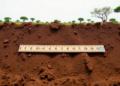 Ethiopia’s Billion-Dollar Soil Push Is Failing a Simple Ruler Test