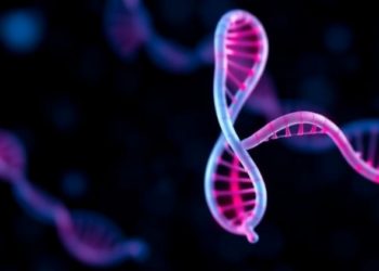 Federated AI Framework Reaches Near-Perfect Accuracy in Cancer Gene Selection