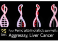 Four Metabolic Genes Predict Survival in Aggressive Liver Cancer
