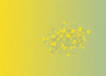From Star Ratings to Fine-Grained Machines: A Decade of Sentiment Analysis Mapped