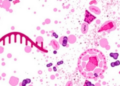 Genetic Barcodes Reveal What Tumor Biopsies Miss