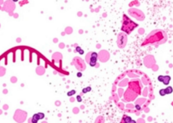 Genetic Barcodes Reveal What Tumor Biopsies Miss