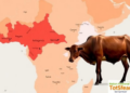 Ghana Builds National Atlas to Map Tsetse Flies and Cattle Disease