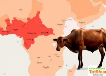 Ghana Builds National Atlas to Map Tsetse Flies and Cattle Disease