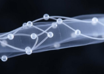 Glass Fibers Beat Nanoclay in the Battle to Reinforce Polypropylene