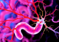 Glial Cells Turn Against Gut Neurons in Hirschsprung Disease, Study Finds