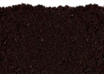 How Restored Soils Lock Away Carbon: The Hidden Machinery Beneath Our Feet