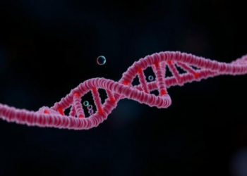 How a Single Gene Loss Helps Melanoma Outsmart Targeted Drugs
