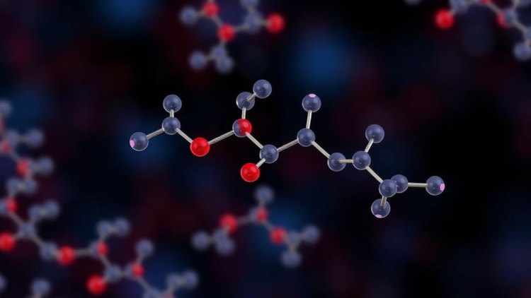 Hybrid Pyrimidine–Oxadiazole Molecules Show Striking Potency Against Cancer Cells