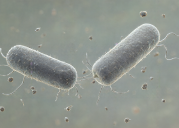 ISTA Study Finds Bacteria Use Viruses for Sex-Like DNA Exchange During Starvation