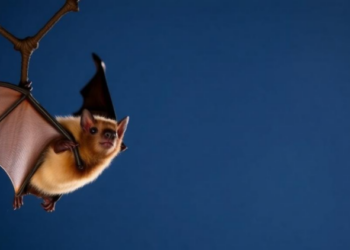 Iranian Bats Show No Sign of Common Gut Parasite in First Molecular Survey