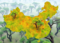 Lightweight AI Maps Every Tree in China’s Fragile Savanna Woodlands