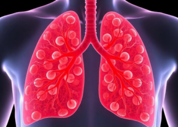 Macrophage Exosomes Carry a MicroRNA That Drives Scarring in the Lung, Study Finds
