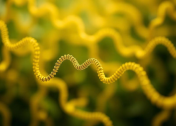 Massive benchmark of 156,000 genomes reveals which annotation tool to trust